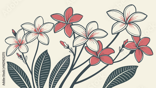 Floral Illustration, Plumeria Flowers, Artistic Design, Nature, Minimalist Style, Close-up View, Botanical Concept