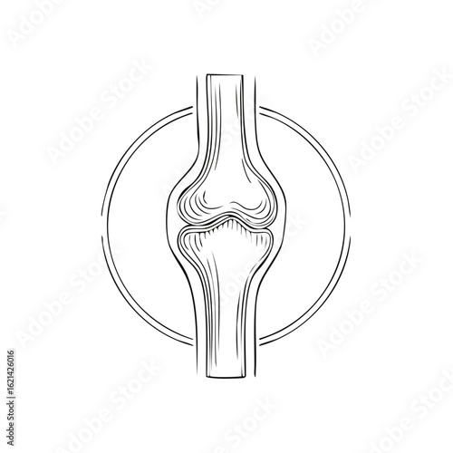 Minimalist Knee Joint Anatomy Illustration with Circle Accents, Black and White Medical Graphic