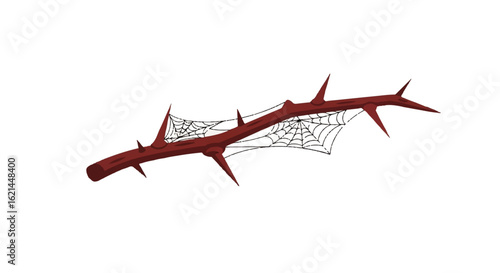 Spiky Brown Branch Adorned with Delicate Spiderwebs