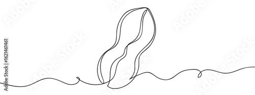Continuous line hand drawn vector peanut isolated on transparent background editable stroke.