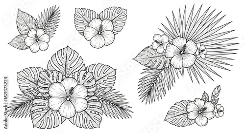 A collection of detailed line art drawings featuring hibiscus flowers and various tropical leaves, including monstera and palm fronds.