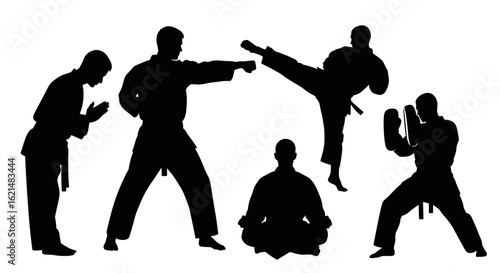 Explore martial arts training techniques self defense and karate moves for fitness and discipline style on transparent background silhouette