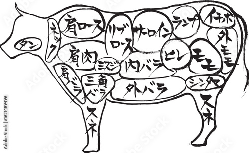 筆絵　牛肉の部位と名称
