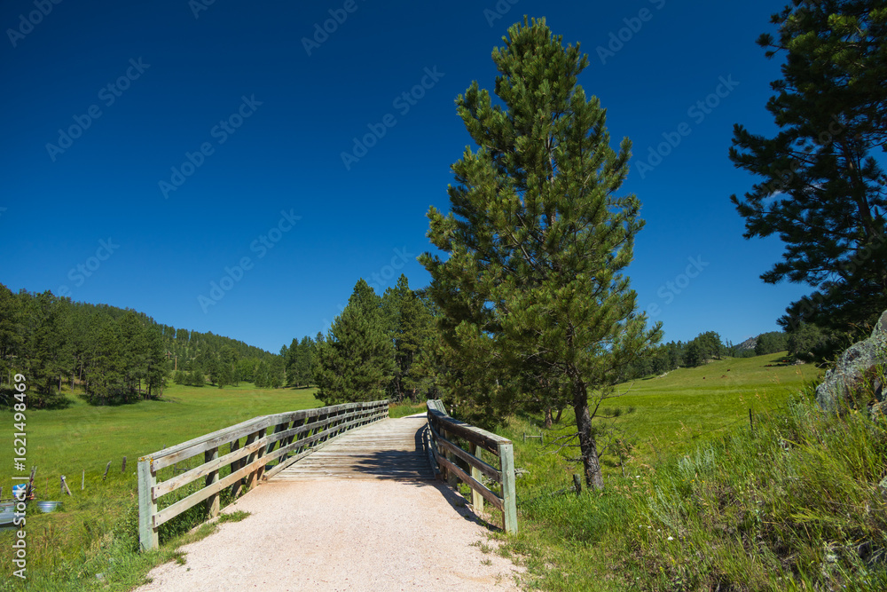 Fototapeta premium Wooden bridge on the George S. Mickelson Trail, South Dakota