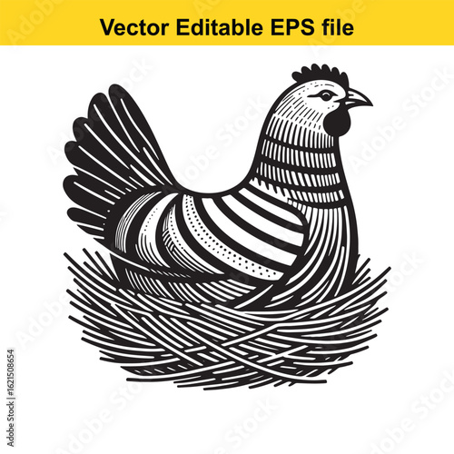 Vector art of stylized chicken in a nest with eggs, isolated on white background