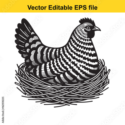 Vector art of stylized chicken in a nest with eggs, isolated on white background