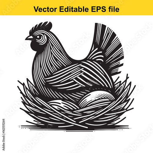 Vector art of stylized chicken in a nest with eggs, isolated on white background