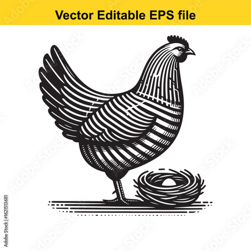 Vector art of stylized chicken in a nest with eggs, isolated on white background