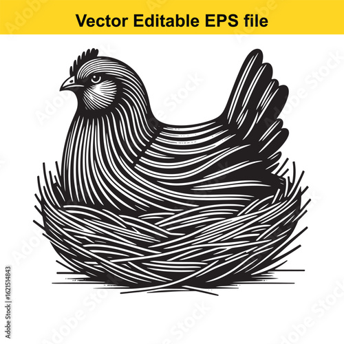 Vector art of stylized chicken in a nest with eggs, isolated on white background