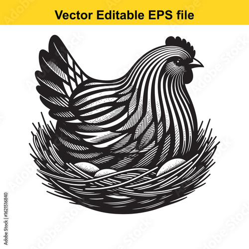 Vector art of stylized chicken in a nest with eggs, isolated on white background