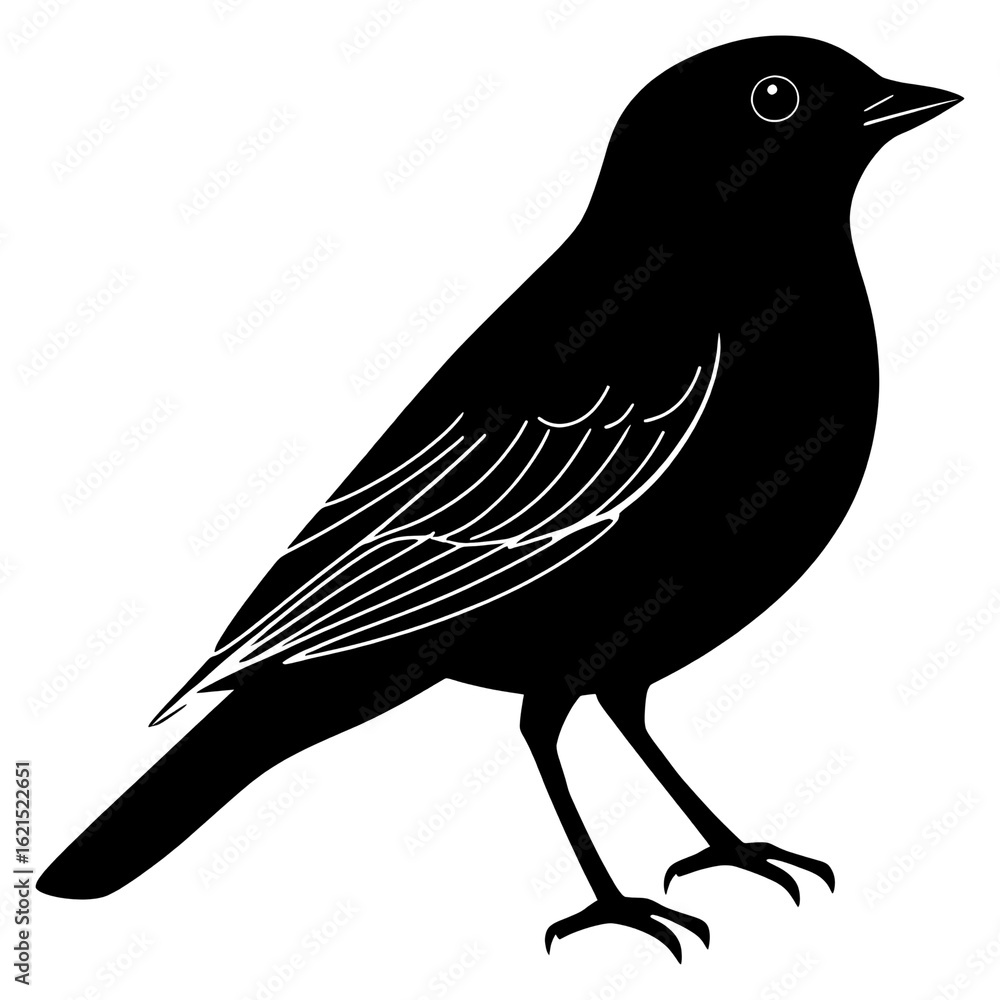 Fototapeta premium PNG Bird silhouette minimalist vector.