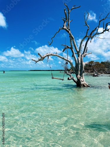 Foto swing at snipes key sandbar in the Florida Keys