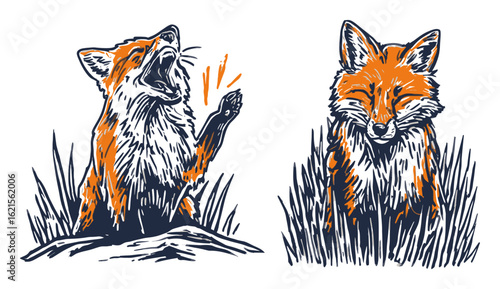 Hand-drawn fox illustrations in vibrant colors with expressive features