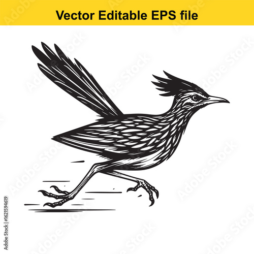 Vector art of artistic black and white drawing of a turkey walking with tail fanned long horn, , long horn