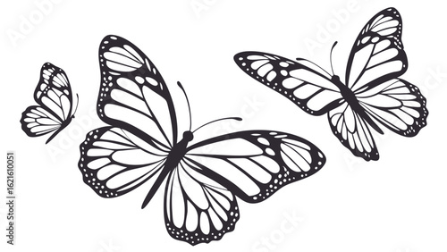 Wallpaper Mural Elegant Black and White Butterflies in Graceful Flight Against a Blank Canvas Torontodigital.ca