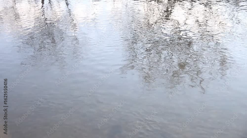 Spiegelung Baum im Wasser - Ruhiges Gewässer