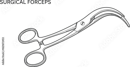 Line Drawing of a Surgical Forceps, a Medical Instrument Used in Surgery, Vector Illustration of Forceps for Grasping and Holding Tissues