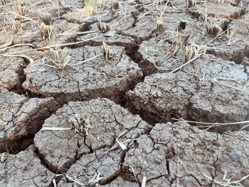 Agricultural land in the form of dry, cracked, barren and unproductive soil