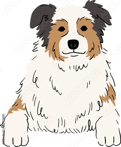 Illustration of an Australian Shepherd Dog