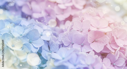 Pastel gradient hydrangea blossoms with sparkling lights