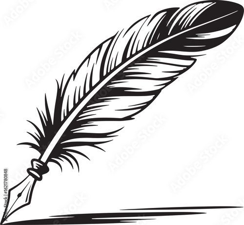 Black quill pen writing instrument with feathered tip and ink shadow antique