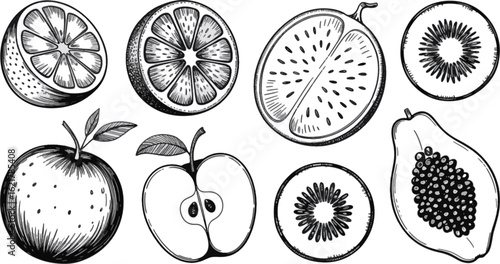 Black and White Illustrations of Various Fruit Cutaways