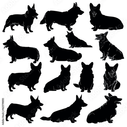 vector illustration of corgi silhouette set, Black & White silhouette set