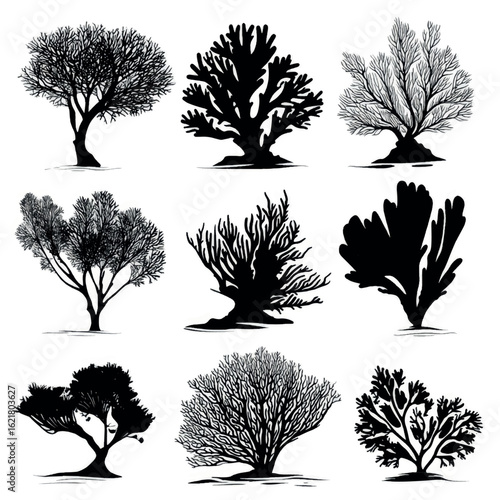 vector illustration of coral silhouette set, Black & White silhouette set