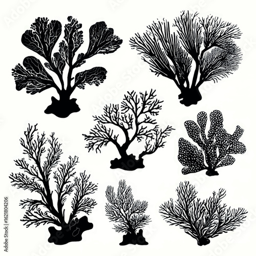vector illustration of coral silhouette set, Black & White silhouette set