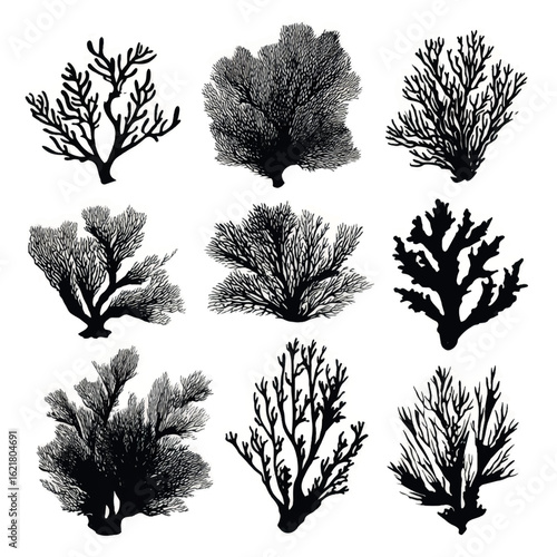 vector illustration of coral silhouette set, Black & White silhouette set