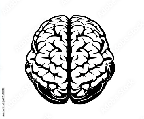 A stylized, black and white illustration of a human brain.  The brain is depicted from a top-down view, showing the cerebral hemispheres and intricate folds