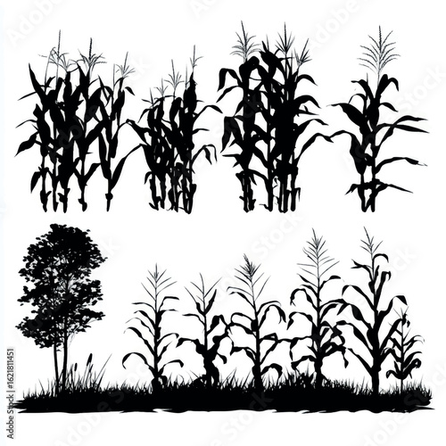 vector illustration of corn field silhouette set, Black & White silhouette set 