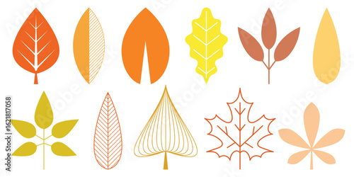 Set stylized geometric leaves, autumn leaves, isolated silhouette on white background, vector design