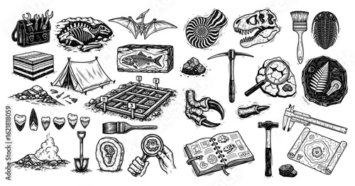 A hand-drawn collection of paleontology and archaeology illustrations—dinosaur fossils, tools, and a field camp. It represents history, science, and discovery. Ideal for education, books, and exhibits
