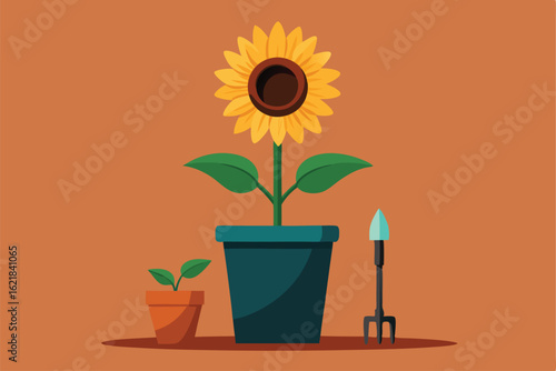 sunflower in a pot