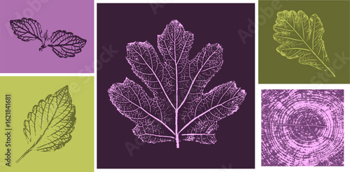 Trendy floral branch tree rings and grass for logo or decorations. Hand drawn line elegant leaves for invitation card. Botanical rustic trendy vector art.