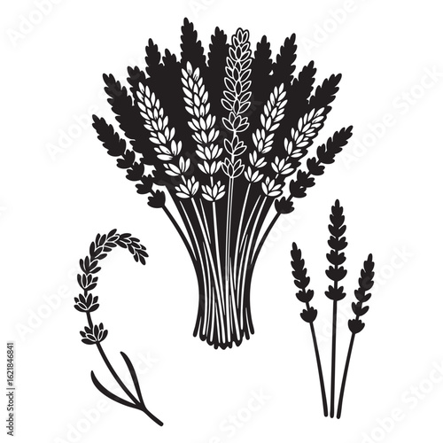 High-Impact Lavender Bunch and Stalk Silhouette Set