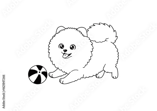 A cute Pomeranian Spitz puppy playing with a toy ball. Black and white line art illustration, ideal for a children's coloring page or book.