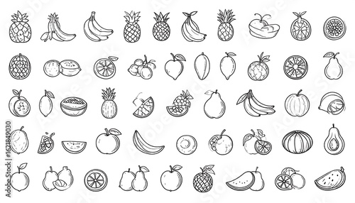 Hand-drawn assorted fruits, doodle sketch style, various fruit illustrations vector set