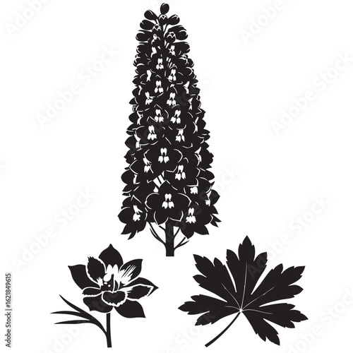 Bold Delphinium Flower Spire Graphic Vector Collection