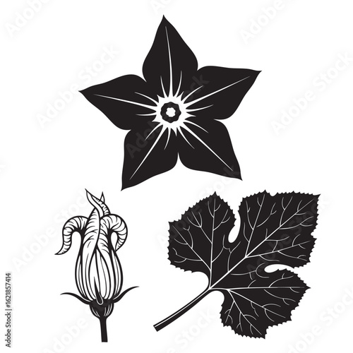 Graphic Squash Blossom and Leaf Block-Print Style Icons