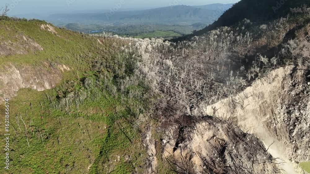 Unique aerial view of a lone dead white tree standing in a barren volcanic crater surrounded by sulfur steam. Unique aerial view of a lone dead white tree standing in a barren volcanic crater surrounded by sulfur steam.