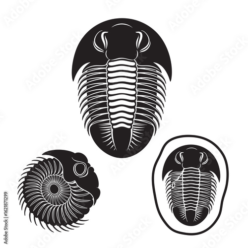 Trilobite Silhouettes as a Paleozoic Arthropod Icon Set