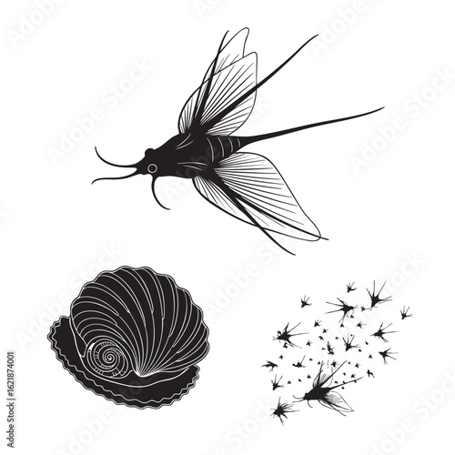 Set of 3 Sea Butterfly Silhouettes as a Pelagic Snail Icon Set