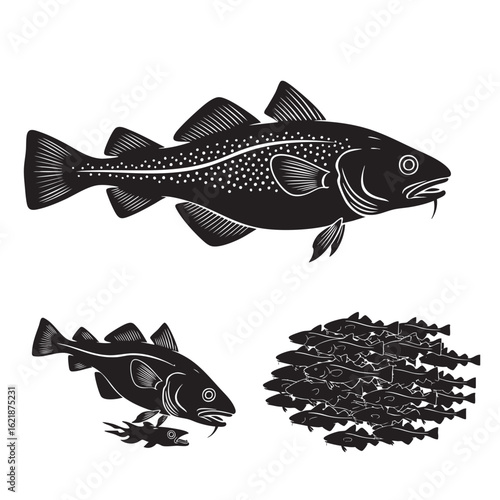 Set of 3 Atlantic Cod Silhouettes as a Commercial Saltwater Fish