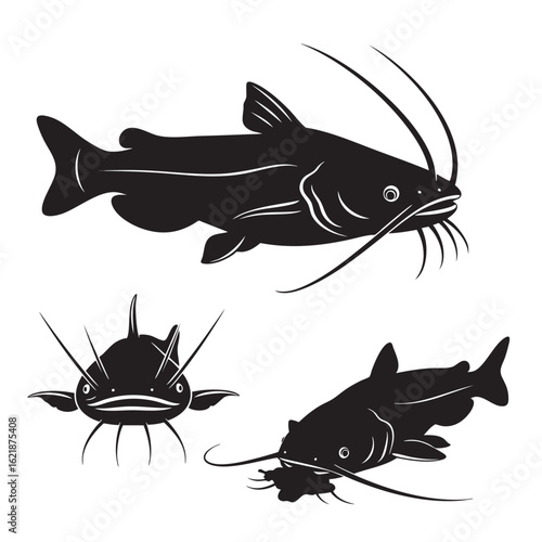 Set of 3 Catfish Silhouettes as a Barbelled Freshwater Fish Set