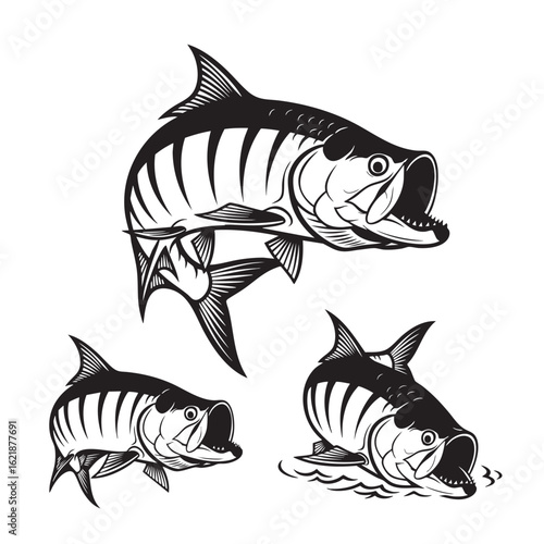 Принти на полотні Set of 3 Tarpon Silhouettes as a Leaping Silver King Fish Set
