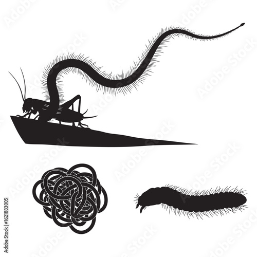 Set of 3 Horsehair Worm Silhouettes as a Gordian Worm Vector Set