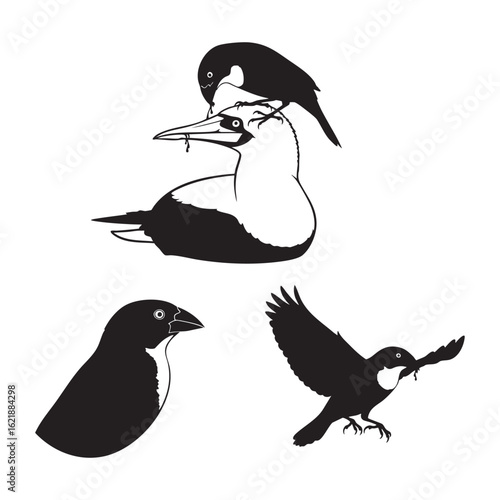 Set of 3 Vampire Finch Silhouettes as a Parasitic Bird Icon Set
