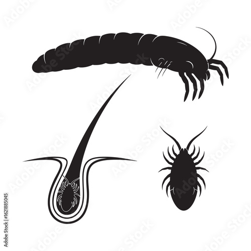 Set of 3 Demodex Mite Silhouettes as a Follicle Mite Vector Set